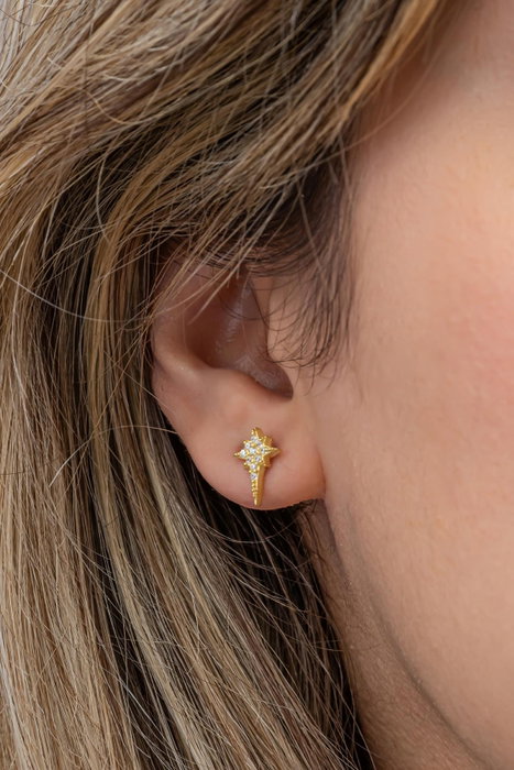Heliophilia Silver NRZ999568 Pendientes de Plata de Ley 925 con Baño de Oro y Circon